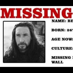 Missing Benjen