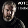 Hodor's Election Agent